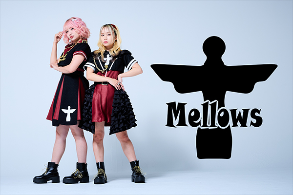 Mellows 资料图片